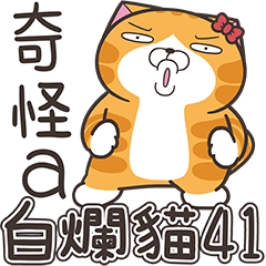 [LINEスタンプ] ランラン猫 41 (台湾版)