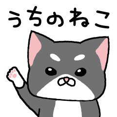 [LINEスタンプ] うちのねこ ときどき人間