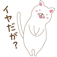 [LINEスタンプ] しろねこさん日常会話スタンプ2