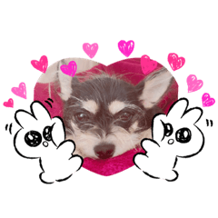 [LINEスタンプ] 犬でザマス〜