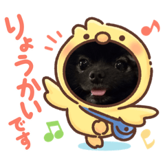 [LINEスタンプ] ツキノワグマもこスタンプ