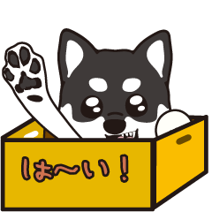 [LINEスタンプ] 黒柴と一緒に 修正版