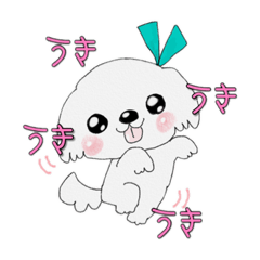 [LINEスタンプ] マルチーズのまるるとこまるpart2