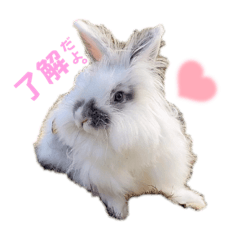 [LINEスタンプ] Minchopila 5
