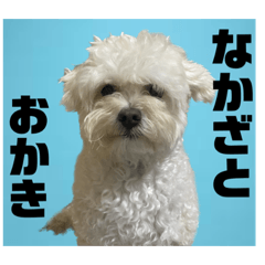 [LINEスタンプ] おかくんと仲間たち