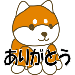 [LINEスタンプ] 柴犬 あいさつ 001