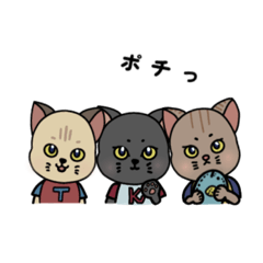 [LINEスタンプ] 3匹のねこちゃん てん、くう、はな