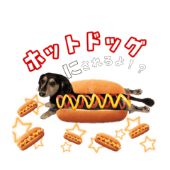 [LINEスタンプ] ラムちゃんすたぁんぷ
