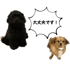 [LINEスタンプ] れんとりたとロイ②