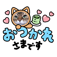 [LINEスタンプ] 永島千佳世ラインスタンプ