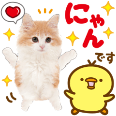 [LINEスタンプ] かわいい猫♡大人可愛い♡ずっと使えるの画像（メイン）