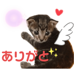 [LINEスタンプ] うーちースタンプ