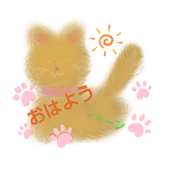 [LINEスタンプ] WhitePearl【ネコのトラちゃん】