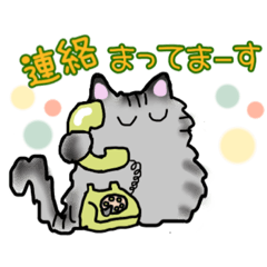 [LINEスタンプ] モフねこ達のご挨拶