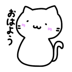 [LINEスタンプ] いつも使える！猫ちゃんスタンプ‼︎