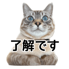 [LINEスタンプ] ネスファイターズ（リアル）