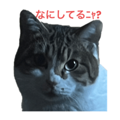 [LINEスタンプ] ゆきむらスタンプ1の画像（メイン）
