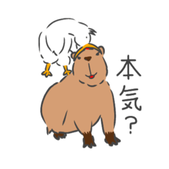 [LINEスタンプ] 日常で使えるカピバラスタンプ。2