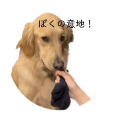 [LINEスタンプ] ころすけのスタンプその2