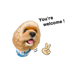[LINEスタンプ] アメコカ・ジェイムス③