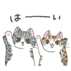 [LINEスタンプ] ほのぼのネコのたぁ＆みぃ