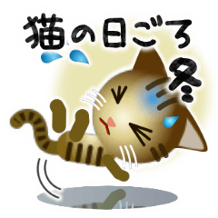 [LINEスタンプ] 猫の日ごろ20 キジトラ猫の冬