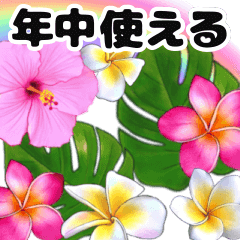 [LINEスタンプ] ハワイのお花と大人可愛い文字がずっと動くの画像（メイン）