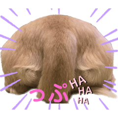 [LINEスタンプ] ミニチュアダックスフンドのマロン︎︎ ♀