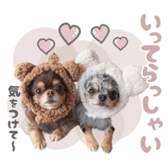 [LINEスタンプ] うにちゃんと、ほたてくん。【2】