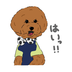 [LINEスタンプ] ぺいぺい兄弟 日常の画像（メイン）