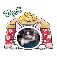 [LINEスタンプ] いろいろ探検