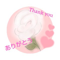 [LINEスタンプ] WhitePearl【カラフルな花たち】