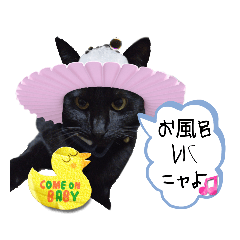 [LINEスタンプ] うちの黒ねこニャンズpart2