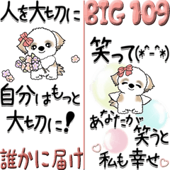 [LINEスタンプ] 【Big】シーズー犬 109『誰かに届け』の画像（メイン）