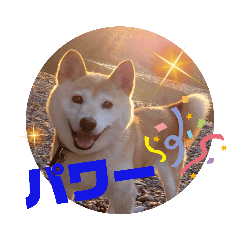 [LINEスタンプ] さくらと一緒 8