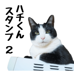 [LINEスタンプ] 黒白ハチワレねこのハチくんスタンプ2