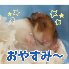 [LINEスタンプ] ハムスターのマルス